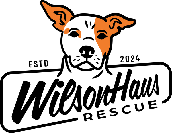 WilsonHaus Rescue 